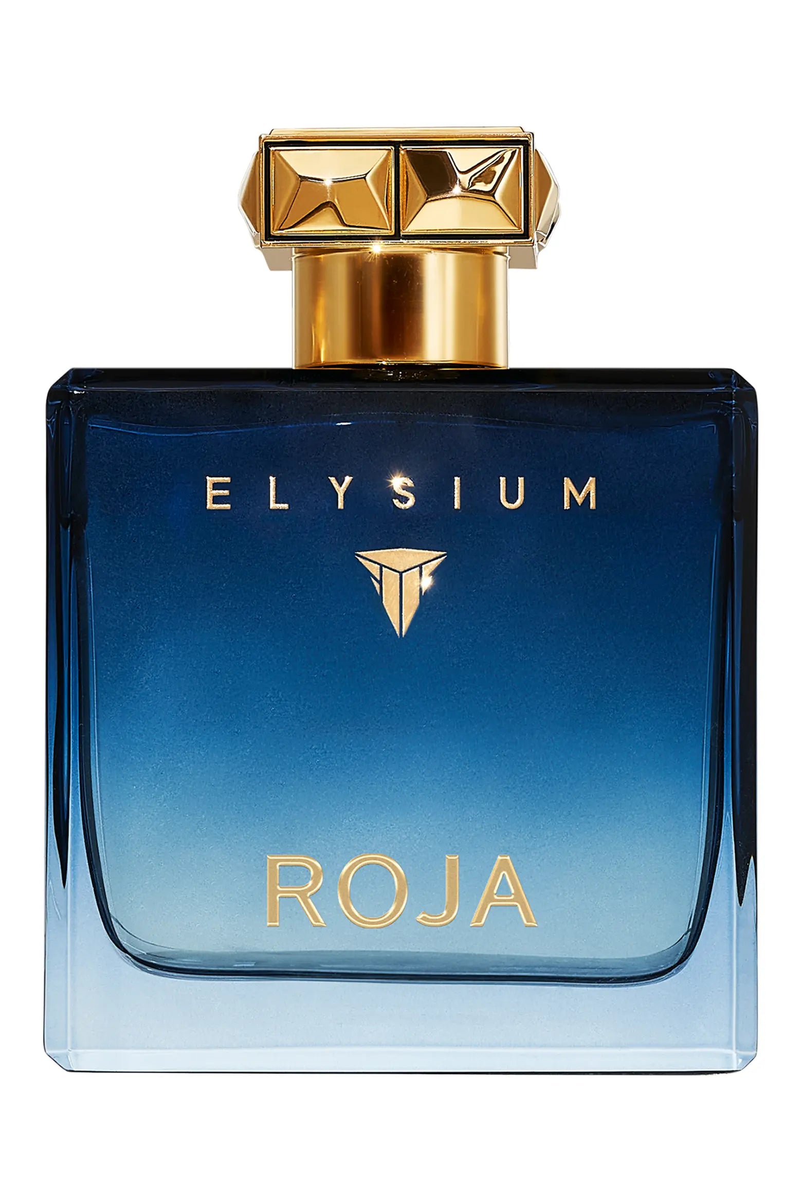 Roja Parfums l Elysium Pour Homme Parfum Cologne 100 ML (3.4 oz)